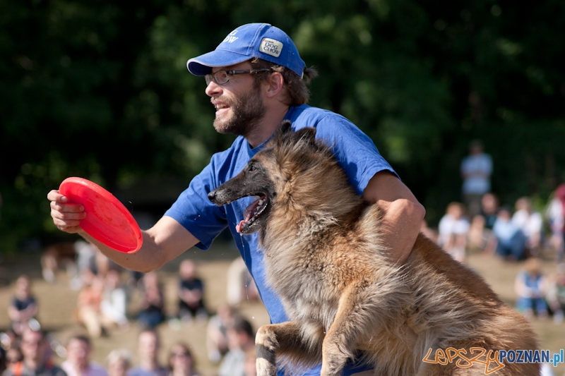 Dog Chow Disc Cup Poznań 2011 - 19.06.2011 r. Foto: LepszyPOZNAN.pl / Paweł Rychter Dog Chow Disc Cup Poznań 2011 - 19.06.2011 r. Foto: LepszyPOZNAN.pl / Paweł Rychter