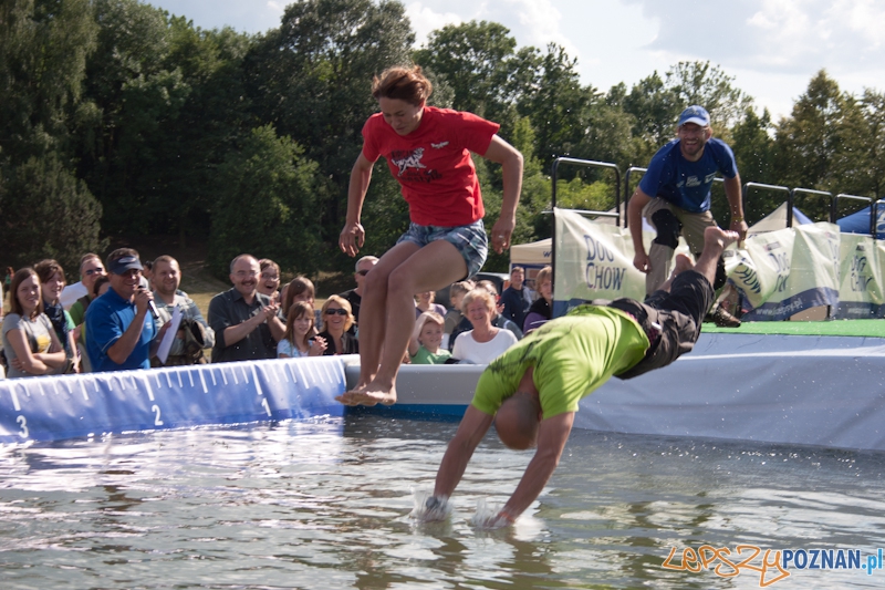 Dog Chow Disc Cup Poznań 2011 - 19.06.2011 r. Foto: LepszyPOZNAN.pl / Paweł Rychter Dog Chow Disc Cup Poznań 2011 - 19.06.2011 r. Foto: LepszyPOZNAN.pl / Paweł Rychter