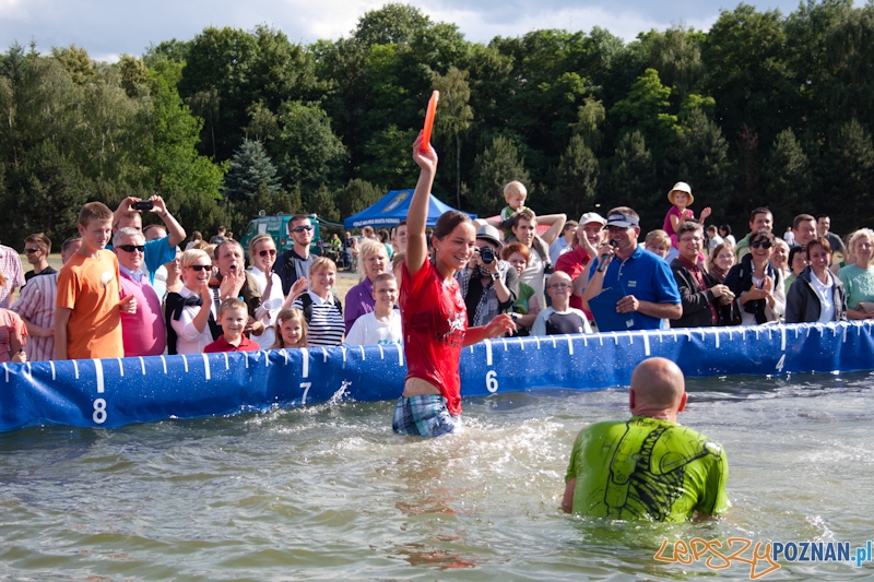 Dog Chow Disc Cup Poznań 2011 - 19.06.2011 r. Foto: LepszyPOZNAN.pl / Paweł Rychter Dog Chow Disc Cup Poznań 2011 - 19.06.2011 r. Foto: LepszyPOZNAN.pl / Paweł Rychter