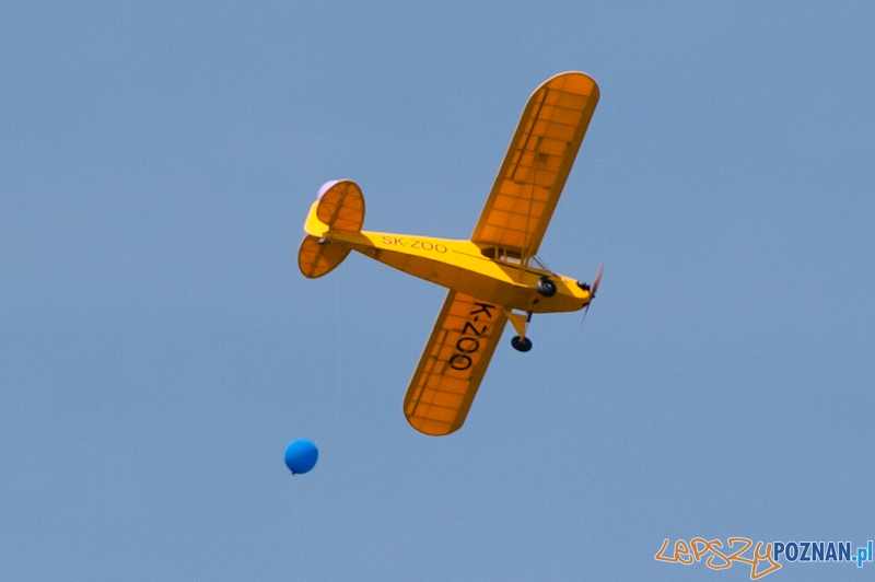 IV Ogólnopolski Zlot Gigantów 2011 - Lotnisko Bednary 05.06.2011 r. Foto: LepszyPOZNAN.pl / Paweł Rychter IV Ogólnopolski Zlot Gigantów 2011 - Lotnisko Bednary 05.06.2011 r. Foto: LepszyPOZNAN.pl / Paweł Rychter