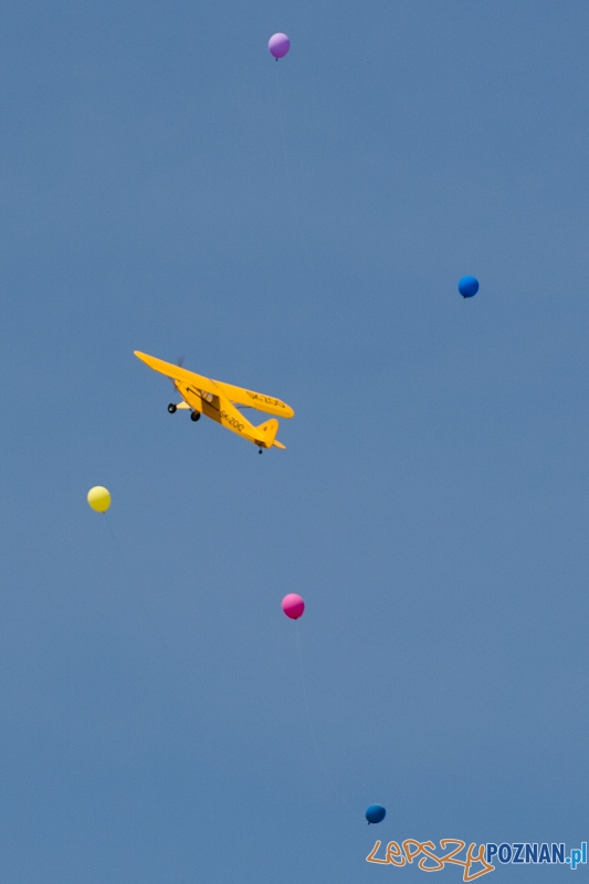 IV Ogólnopolski Zlot Gigantów 2011 - Lotnisko Bednary 05.06.2011 r. Foto: LepszyPOZNAN.pl / Paweł Rychter IV Ogólnopolski Zlot Gigantów 2011 - Lotnisko Bednary 05.06.2011 r. Foto: LepszyPOZNAN.pl / Paweł Rychter