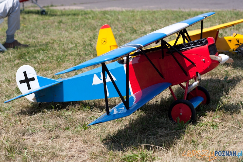 IV Ogólnopolski Zlot Gigantów 2011 - Lotnisko Bednary 05.06.2011 r. Foto: LepszyPOZNAN.pl / Paweł Rychter IV Ogólnopolski Zlot Gigantów 2011 - Lotnisko Bednary 05.06.2011 r. Foto: LepszyPOZNAN.pl / Paweł Rychter