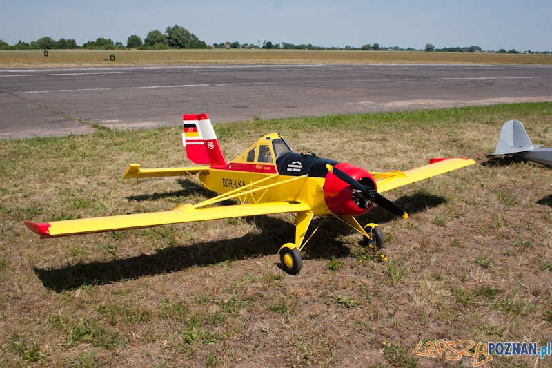 IV Ogólnopolski Zlot Gigantów 2011 - Lotnisko Bednary 05.06.2011 r. Foto: LepszyPOZNAN.pl / Paweł Rychter IV Ogólnopolski Zlot Gigantów 2011 - Lotnisko Bednary 05.06.2011 r. Foto: LepszyPOZNAN.pl / Paweł Rychter
