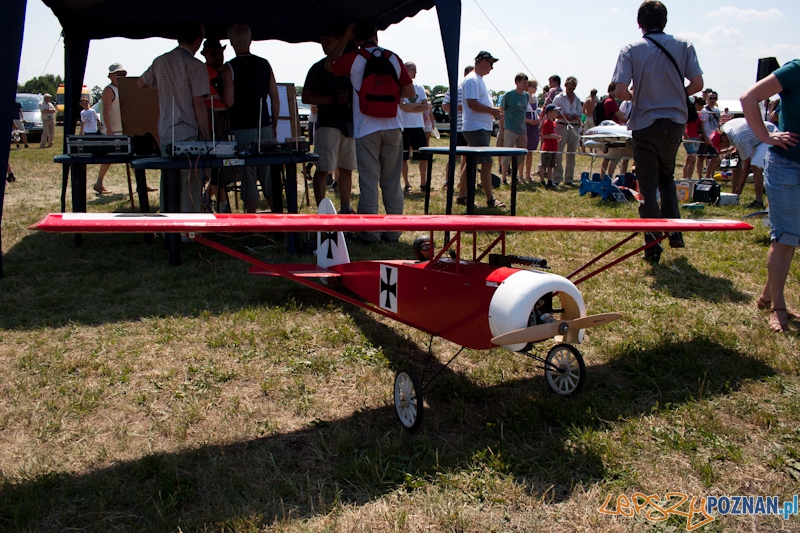 IV Ogólnopolski Zlot Gigantów 2011 - Lotnisko Bednary 05.06.2011 r. Foto: LepszyPOZNAN.pl / Paweł Rychter IV Ogólnopolski Zlot Gigantów 2011 - Lotnisko Bednary 05.06.2011 r. Foto: LepszyPOZNAN.pl / Paweł Rychter