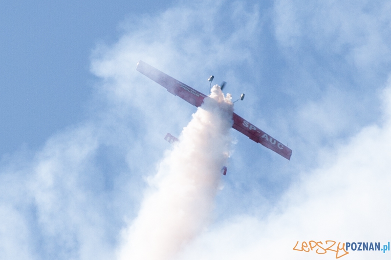 IV Ogólnopolski Zlot Gigantów 2011 - Lotnisko Bednary 05.06.2011 r. Foto: LepszyPOZNAN.pl / Paweł Rychter IV Ogólnopolski Zlot Gigantów 2011 - Lotnisko Bednary 05.06.2011 r. Foto: LepszyPOZNAN.pl / Paweł Rychter