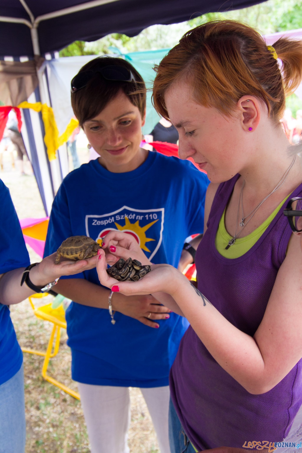 Festyn w szpitalu przy ul. Szpitalnej Foto: lepszyPOZNAN.pl / Piotr Rychter Festyn w szpitalu przy ul. Szpitalnej Foto: lepszyPOZNAN.pl / Piotr Rychter