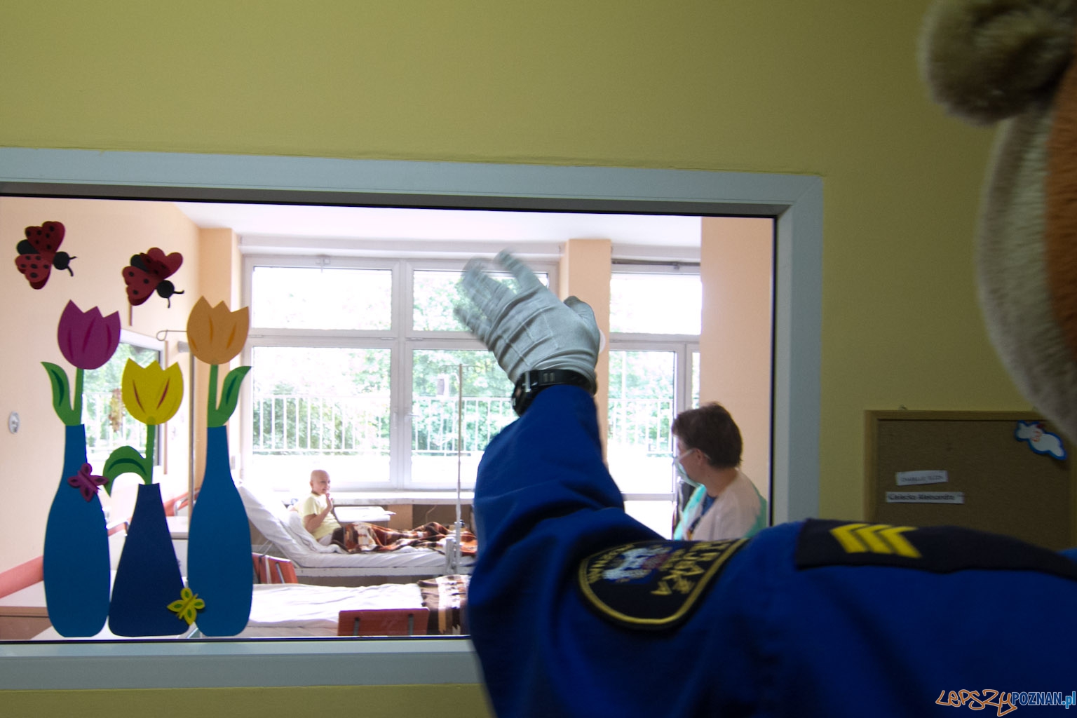 Festyn w szpitalu przy ul. Szpitalnej Foto: lepszyPOZNAN.pl / Piotr Rychter Festyn w szpitalu przy ul. Szpitalnej Foto: lepszyPOZNAN.pl / Piotr Rychter