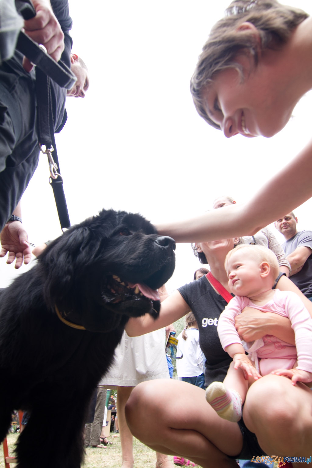 Festyn w szpitalu przy ul. Szpitalnej Foto: lepszyPOZNAN.pl / Piotr Rychter Festyn w szpitalu przy ul. Szpitalnej Foto: lepszyPOZNAN.pl / Piotr Rychter