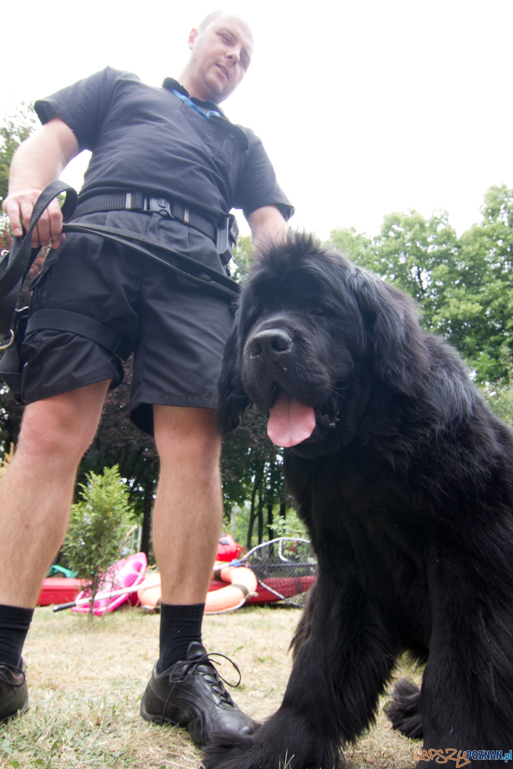 Festyn w szpitalu przy ul. Szpitalnej Foto: lepszyPOZNAN.pl / Piotr Rychter Festyn w szpitalu przy ul. Szpitalnej Foto: lepszyPOZNAN.pl / Piotr Rychter