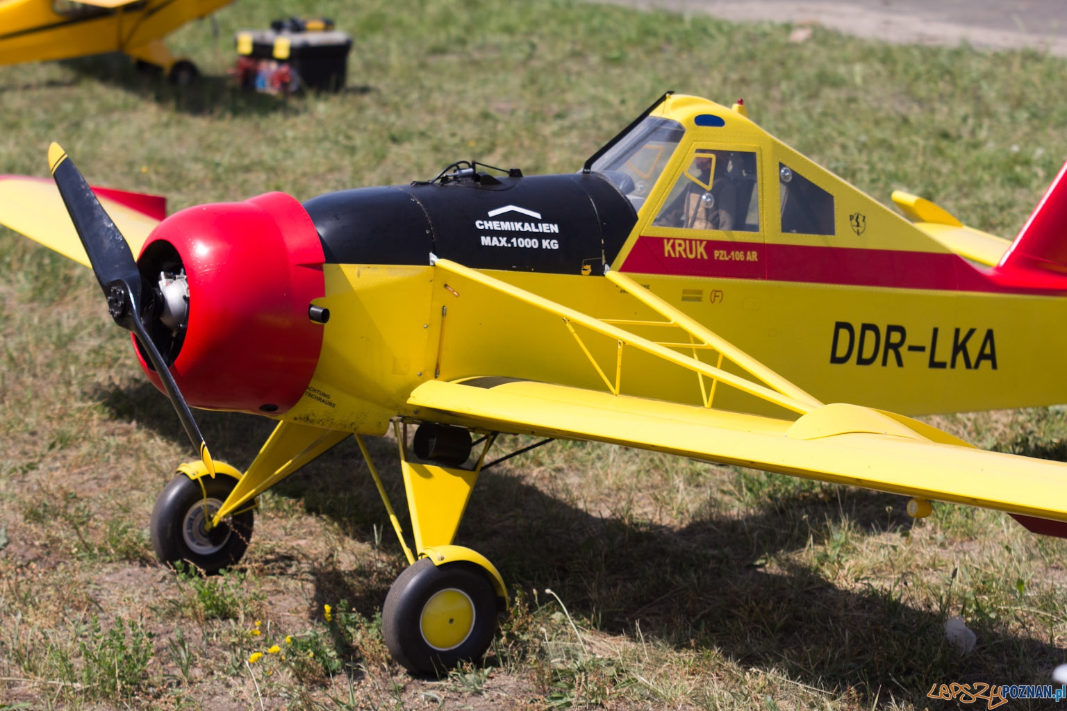 IV Ogólnopolski Zlot Gigantów 2011 - Lotnisko Bednary 05.06.2011 r. Foto: lepszyPOZNAN.pl / Piotr Rychter IV Ogólnopolski Zlot Gigantów 2011 - Lotnisko Bednary 05.06.2011 r. Foto: lepszyPOZNAN.pl / Piotr Rychter
