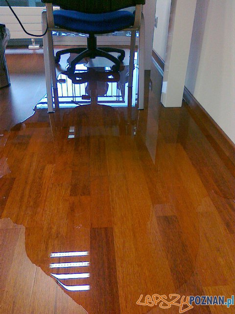 Zalana I trybuna Stadionu Miejskiego Foto: Wiara Lecha Zalana I trybuna Stadionu Miejskiego Foto: Wiara Lecha