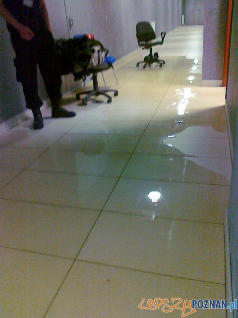 Zalana I trybuna Stadionu Miejskiego Foto: Wiara Lecha Zalana I trybuna Stadionu Miejskiego Foto: Wiara Lecha