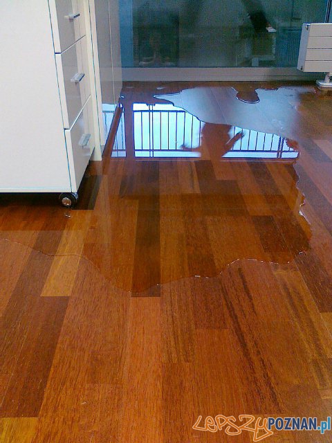 Zalana I trybuna Stadionu Miejskiego Foto: Wiara Lecha Zalana I trybuna Stadionu Miejskiego Foto: Wiara Lecha