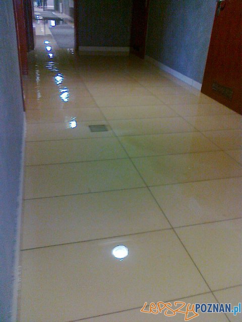 Zalana I trybuna Stadionu Miejskiego Foto: Wiara Lecha Zalana I trybuna Stadionu Miejskiego Foto: Wiara Lecha