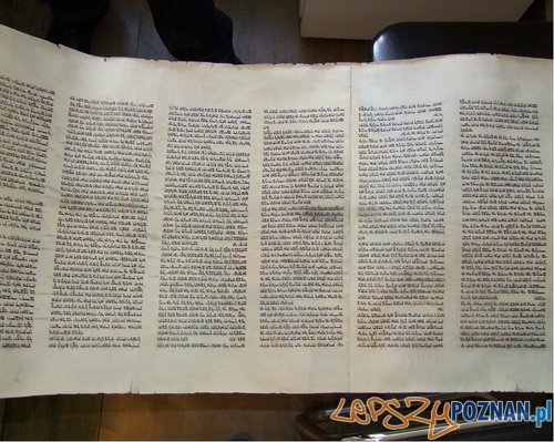 Tora skradziona, Tora odzyskana Foto: KWP w Poznaniu Tora skradziona, Tora odzyskana Foto: KWP w Poznaniu