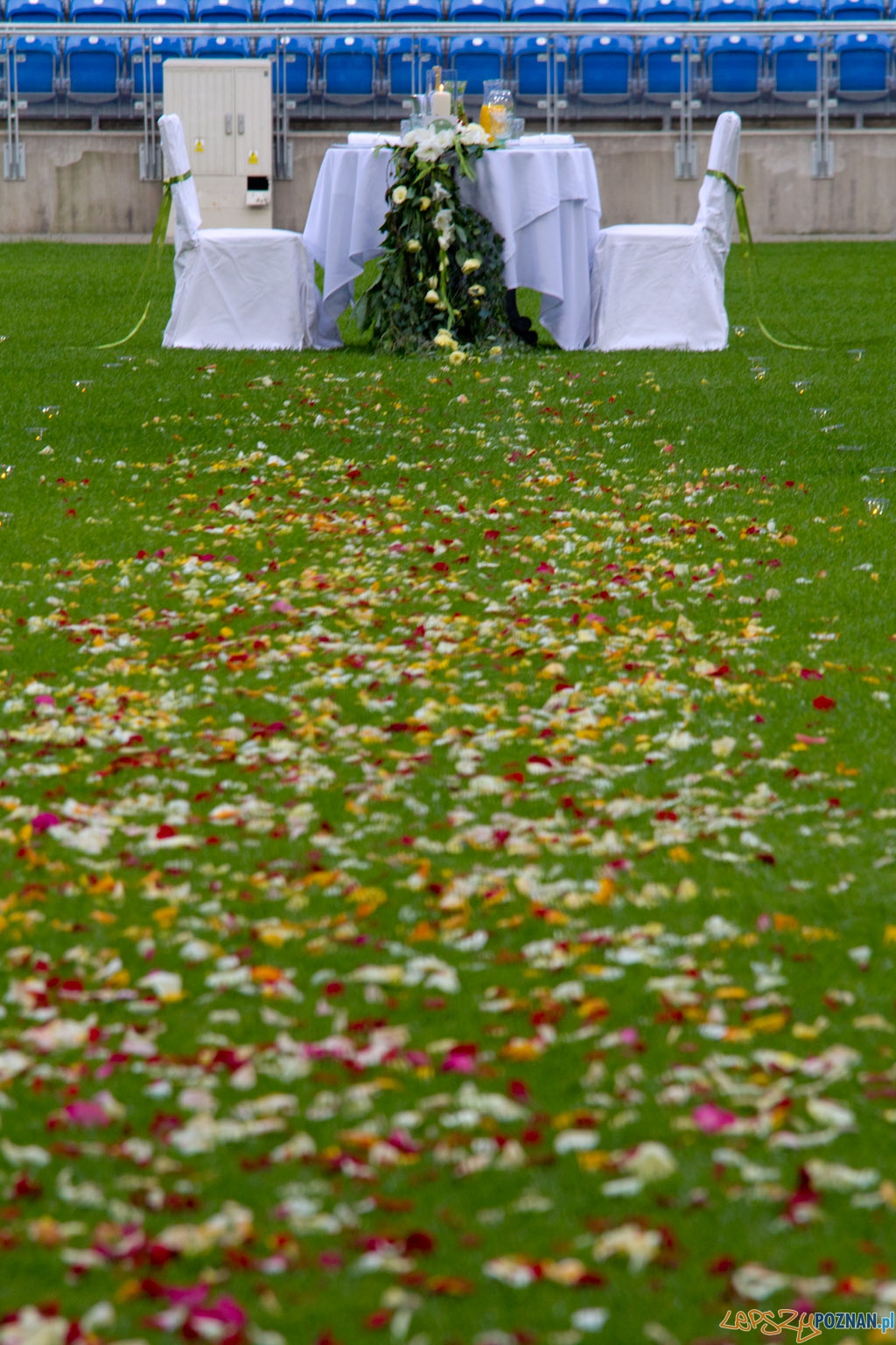 Kolacja na Stadionie Miejskim - 12.07.2011 r. Foto: lepszyPOZNAN.pl / Piotr Rychter Kolacja na Stadionie Miejskim - 12.07.2011 r. Foto: lepszyPOZNAN.pl / Piotr Rychter