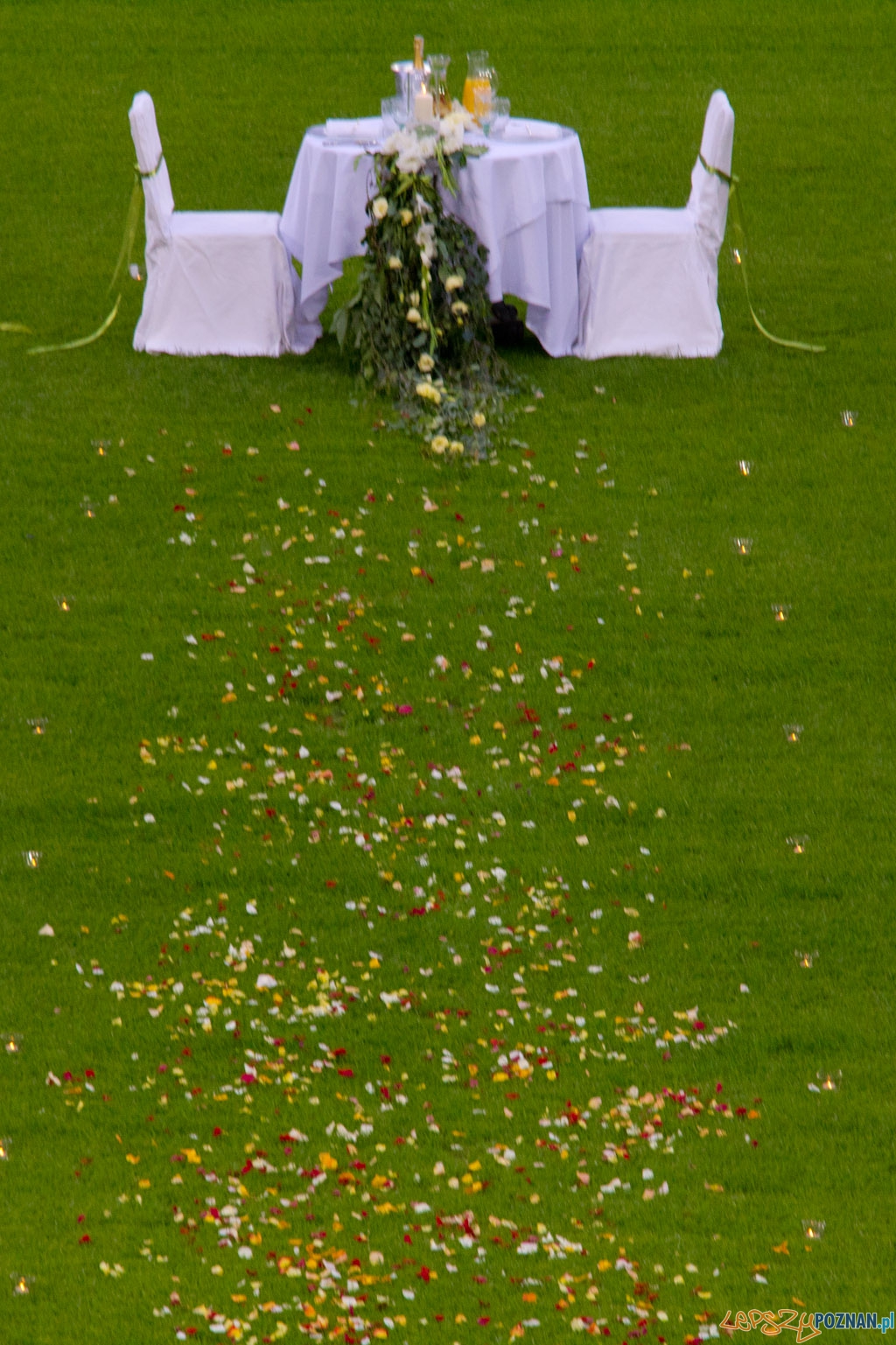Kolacja na Stadionie Miejskim - 12.07.2011 r. Foto: lepszyPOZNAN.pl / Piotr Rychter Kolacja na Stadionie Miejskim - 12.07.2011 r. Foto: lepszyPOZNAN.pl / Piotr Rychter