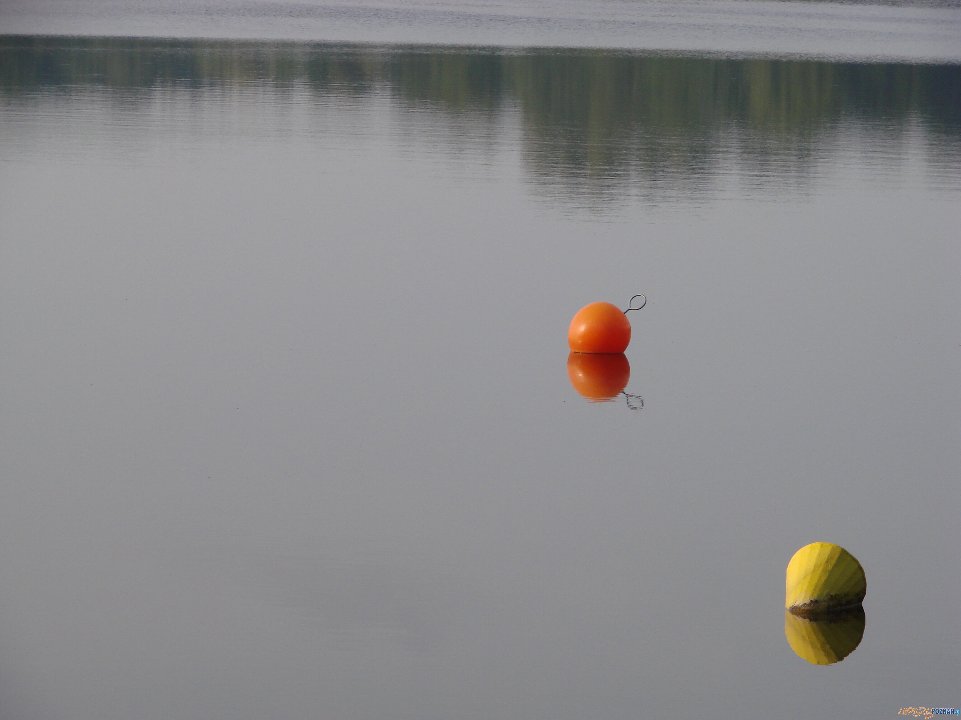 jezioro  Foto: lepszyPOZNAN.pl / ag