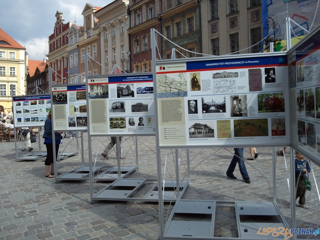 Ta ostatnia wakacyjna niedziela na Starym Rynku Foto: lepszyPOZNAN.pl / ag Ta ostatnia wakacyjna niedziela na Starym Rynku Foto: lepszyPOZNAN.pl / ag