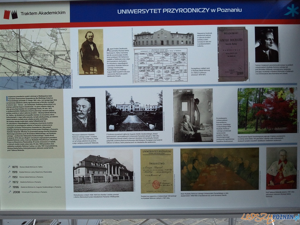 Ta ostatnia wakacyjna niedziela na Starym Rynku Foto: lepszyPOZNAN.pl / ag Ta ostatnia wakacyjna niedziela na Starym Rynku Foto: lepszyPOZNAN.pl / ag