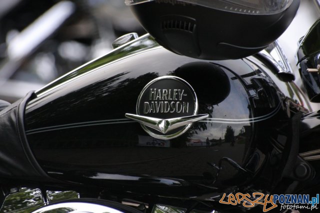 Zlot motocykli Harley-Davidson Foto: Tamara Tyrańska Zlot motocykli Harley-Davidson Foto: Tamara Tyrańska