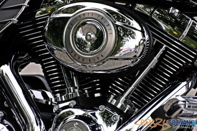 Zlot motocykli Harley-Davidson Foto: Tamara Tyrańska Zlot motocykli Harley-Davidson Foto: Tamara Tyrańska