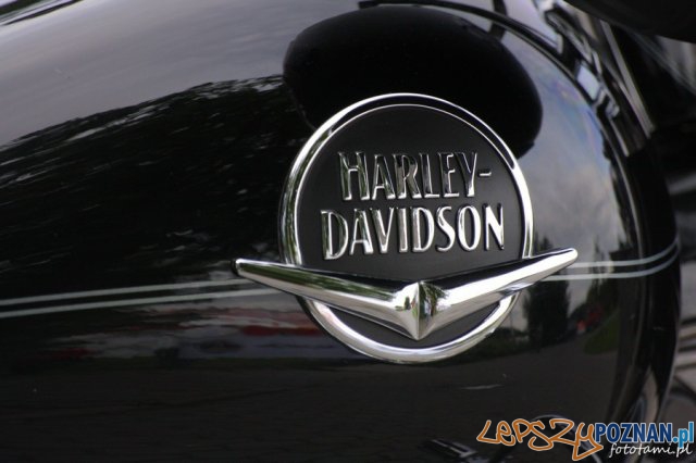 Zlot motocykli Harley-Davidson Foto: Tamara Tyrańska Zlot motocykli Harley-Davidson Foto: Tamara Tyrańska