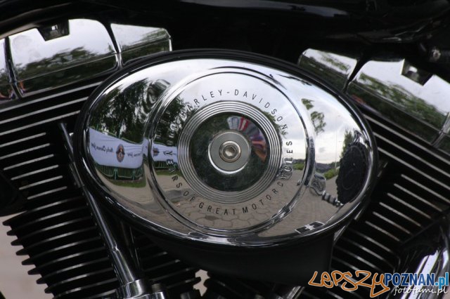 Zlot motocykli Harley-Davidson Foto: Tamara Tyrańska Zlot motocykli Harley-Davidson Foto: Tamara Tyrańska