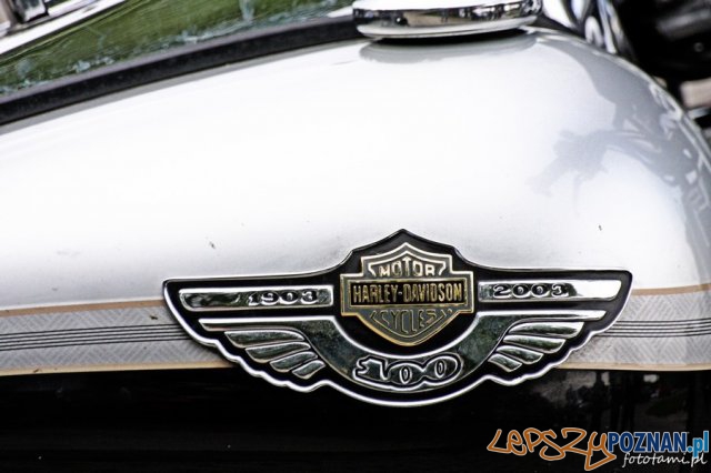 Zlot motocykli Harley-Davidson Foto: Tamara Tyrańska Zlot motocykli Harley-Davidson Foto: Tamara Tyrańska