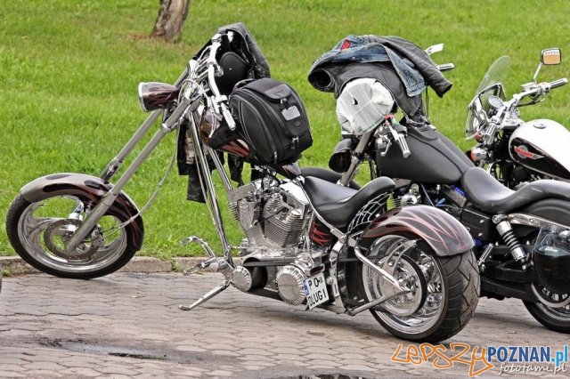 Zlot motocykli Harley-Davidson Foto: Tamara Tyrańska Zlot motocykli Harley-Davidson Foto: Tamara Tyrańska