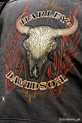 Zlot motocykli Harley-Davidson Foto: Tamara Tyrańska Zlot motocykli Harley-Davidson Foto: Tamara Tyrańska