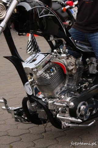 Zlot motocykli Harley-Davidson Foto: Tamara Tyrańska Zlot motocykli Harley-Davidson Foto: Tamara Tyrańska