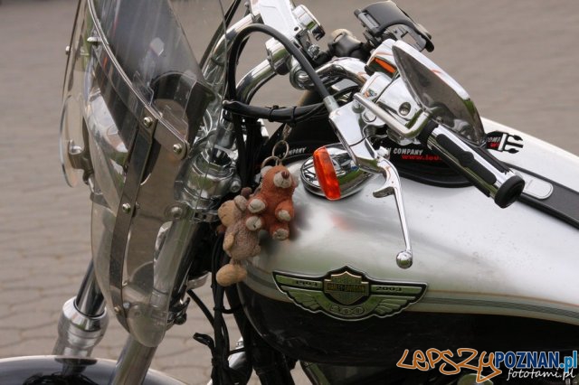 Zlot motocykli Harley-Davidson Foto: Tamara Tyrańska Zlot motocykli Harley-Davidson Foto: Tamara Tyrańska