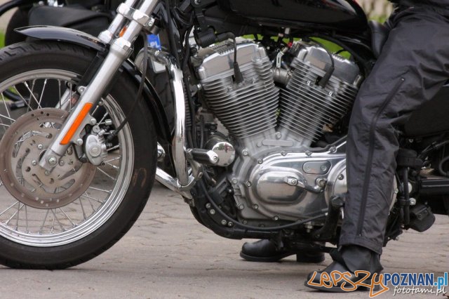 Zlot motocykli Harley-Davidson Foto: Tamara Tyrańska Zlot motocykli Harley-Davidson Foto: Tamara Tyrańska