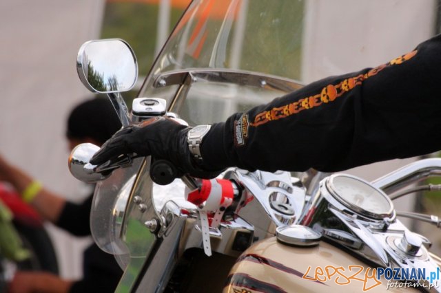 Zlot motocykli Harley-Davidson Foto: Tamara Tyrańska Zlot motocykli Harley-Davidson Foto: Tamara Tyrańska