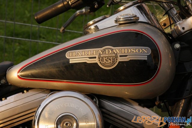 Zlot motocykli Harley-Davidson Foto: Tamara Tyrańska Zlot motocykli Harley-Davidson Foto: Tamara Tyrańska