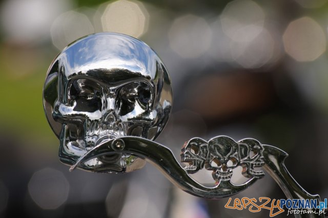 Zlot motocykli Harley-Davidson Foto: Tamara Tyrańska Zlot motocykli Harley-Davidson Foto: Tamara Tyrańska