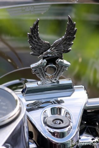 Zlot motocykli Harley-Davidson Foto: Tamara Tyrańska Zlot motocykli Harley-Davidson Foto: Tamara Tyrańska