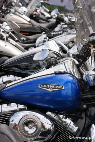 Zlot motocykli Harley-Davidson Foto: Tamara Tyrańska Zlot motocykli Harley-Davidson Foto: Tamara Tyrańska