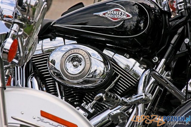 Zlot motocykli Harley-Davidson Foto: Tamara Tyrańska Zlot motocykli Harley-Davidson Foto: Tamara Tyrańska