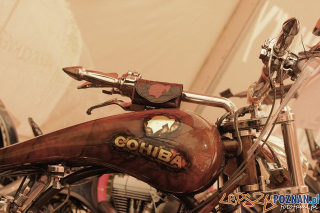 Zlot motocykli Harley-Davidson Foto: Tamara Tyrańska Zlot motocykli Harley-Davidson Foto: Tamara Tyrańska