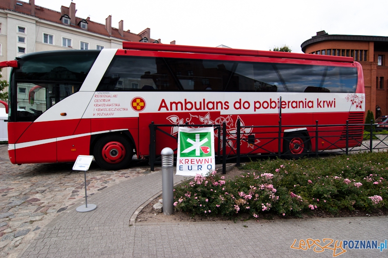 Krewni Euro na dziedzińcu PSP - Poznań 16.09.2011 r.  Foto: LepszyPOZNAN.pl / Paweł Rychter