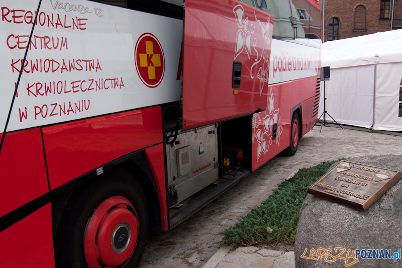 Krewni Euro na dziedzińcu PSP - Poznań 16.09.2011 r. Foto: LepszyPOZNAN.pl / Paweł Rychter Krewni Euro na dziedzińcu PSP - Poznań 16.09.2011 r. Foto: LepszyPOZNAN.pl / Paweł Rychter