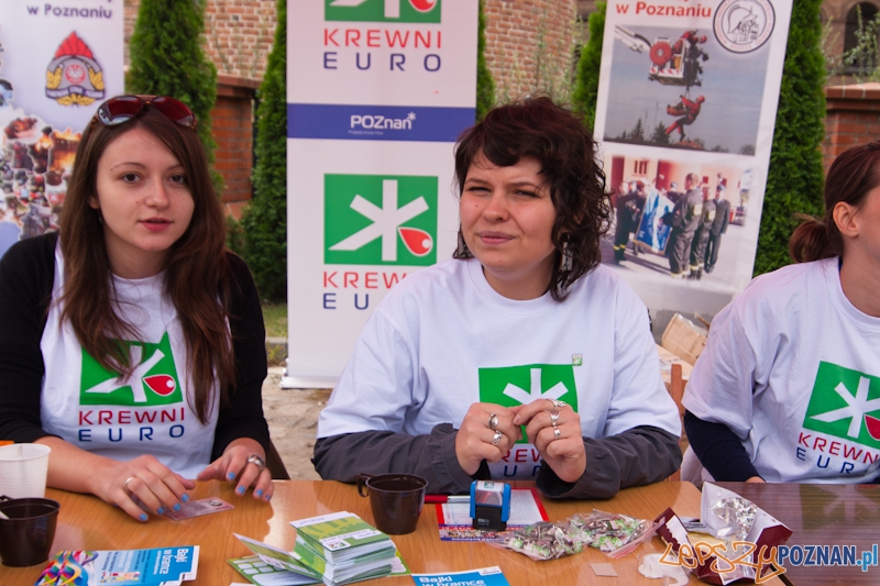 Krewni Euro na dziedzińcu PSP - Poznań 16.09.2011 r. Foto: LepszyPOZNAN.pl / Paweł Rychter Krewni Euro na dziedzińcu PSP - Poznań 16.09.2011 r. Foto: LepszyPOZNAN.pl / Paweł Rychter