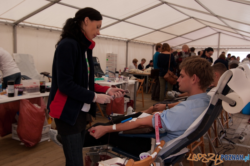 Krewni Euro na dziedzińcu PSP - Poznań 16.09.2011 r. Foto: LepszyPOZNAN.pl / Paweł Rychter Krewni Euro na dziedzińcu PSP - Poznań 16.09.2011 r. Foto: LepszyPOZNAN.pl / Paweł Rychter