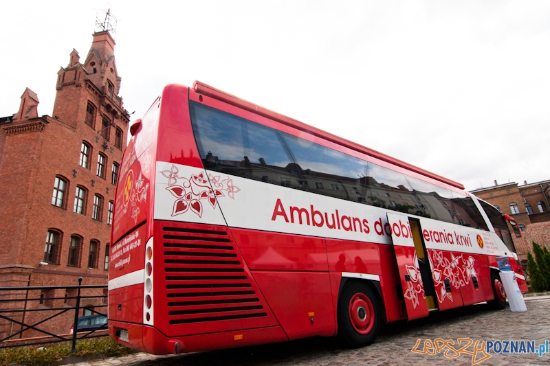 Krewni Euro na dziedzińcu PSP - Poznań 16.09.2011 r. Foto: LepszyPOZNAN.pl / Paweł Rychter Krewni Euro na dziedzińcu PSP - Poznań 16.09.2011 r. Foto: LepszyPOZNAN.pl / Paweł Rychter