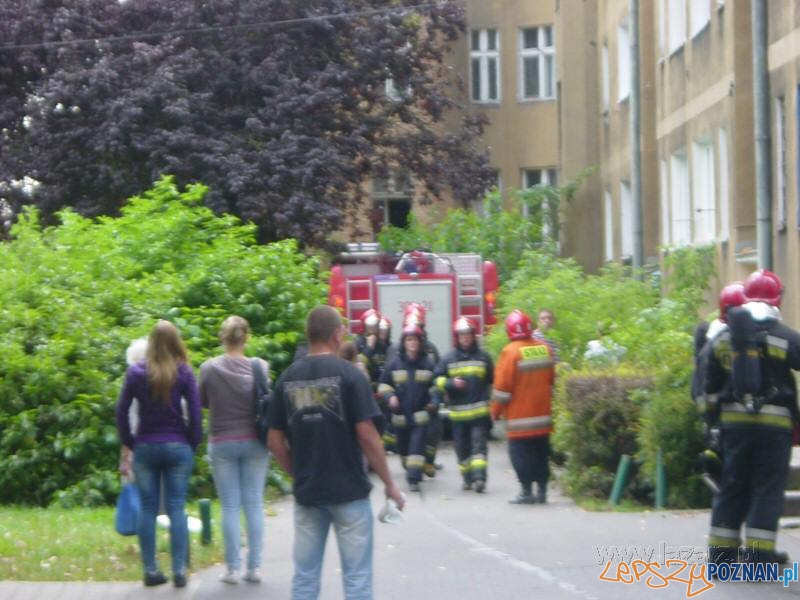 Dwie ofiary pożaru na Łazarzu Foto: lazarz.pl Dwie ofiary pożaru na Łazarzu Foto: lazarz.pl