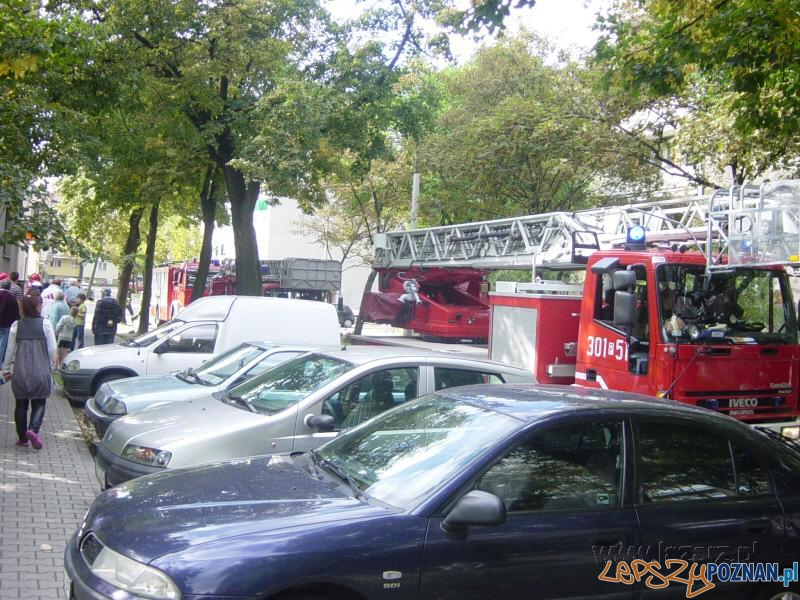 Dwie ofiary pożaru na Łazarzu Foto: lazarz.pl Dwie ofiary pożaru na Łazarzu Foto: lazarz.pl