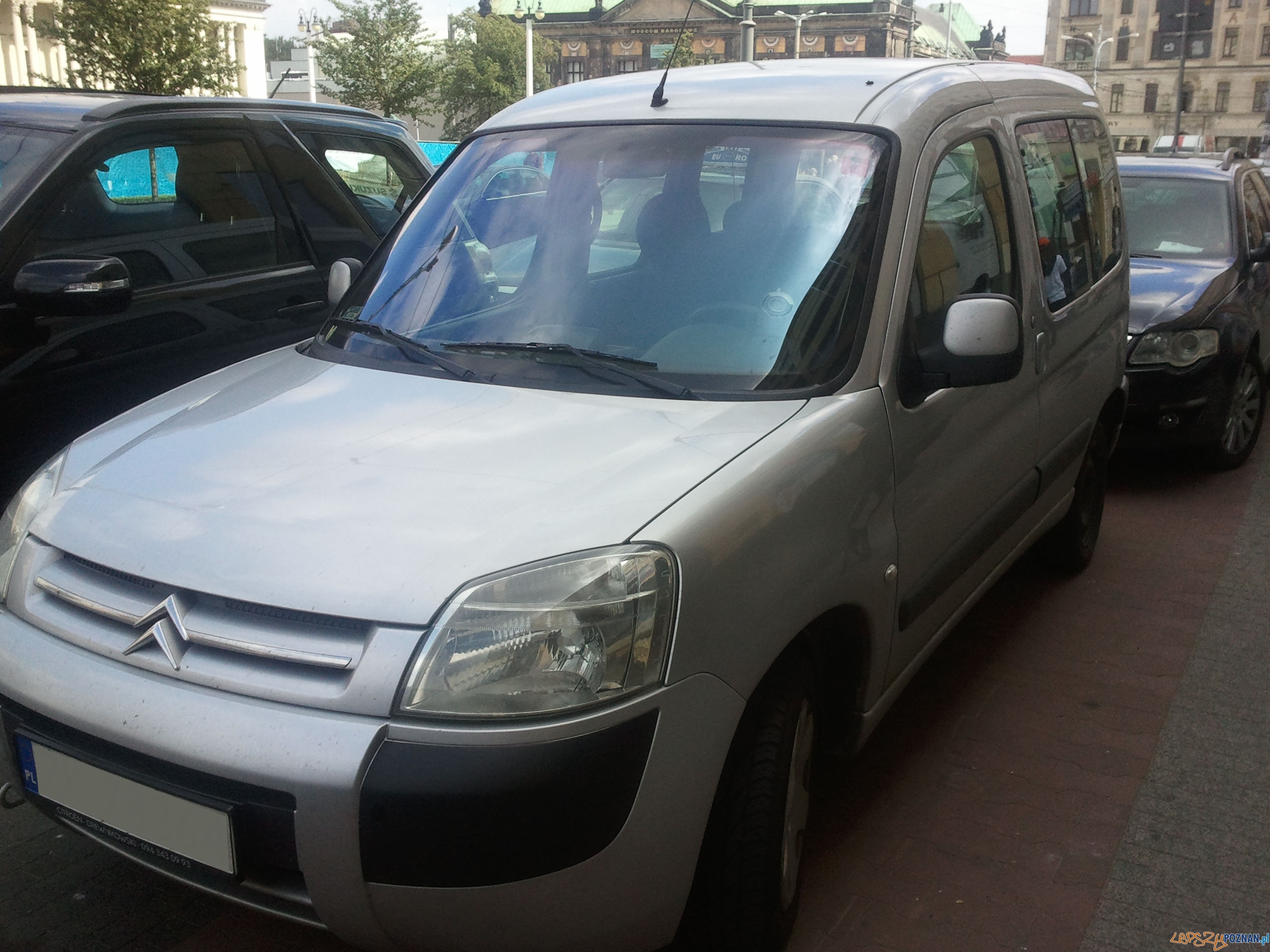 Cwaniaki na placu Wolności Foto: lepszyPOZNAN/gsm Cwaniaki na placu Wolności Foto: lepszyPOZNAN/gsm