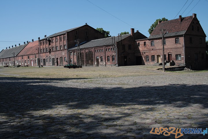 Folwark Wąsowo Foto: Folwark Wąsowo Folwark Wąsowo Foto: Folwark Wąsowo